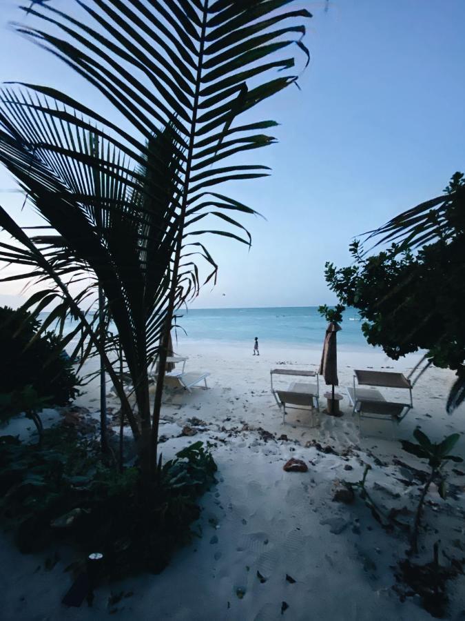 Crystal Beach Nungwi Exteriér fotografie